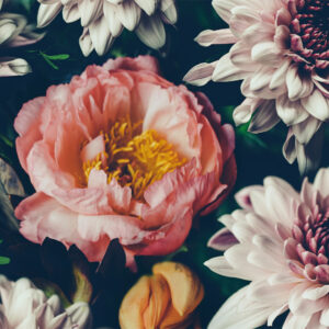 Flower Arrangements